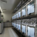 Lattice Medical clean room 2